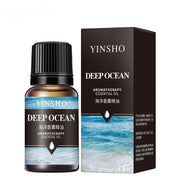 Lot 17 Saveurs Huiles Essentielles 10ml Diffuseur & Humidificateur
