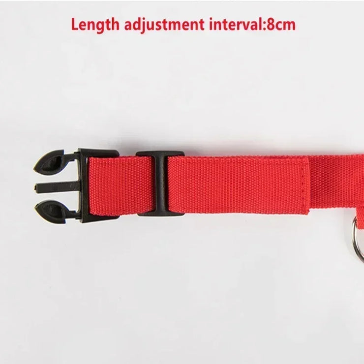 Collier Lumineux LED Chien Réglable Anti-Perte Nuit