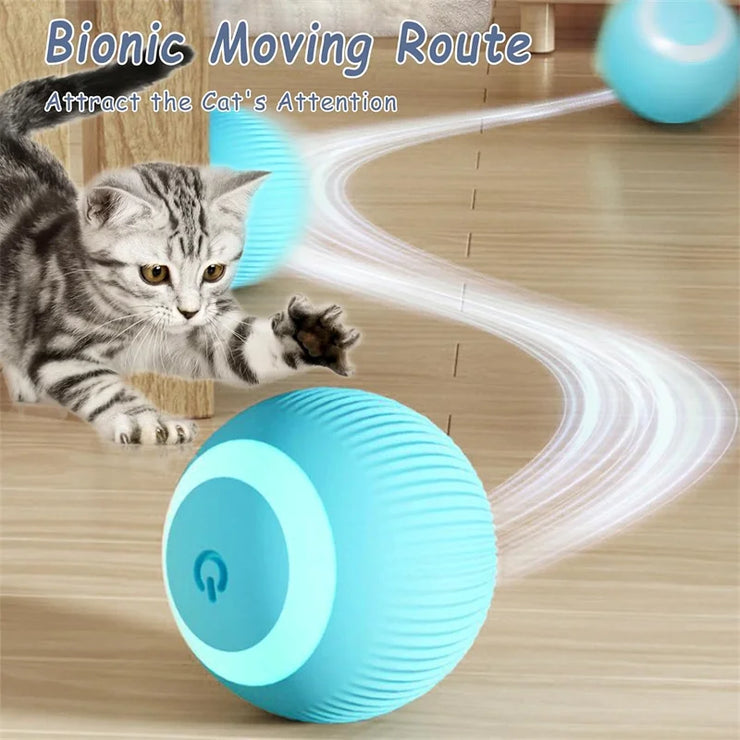 Balle Interactive Électronique pour Chiens et Chats USB