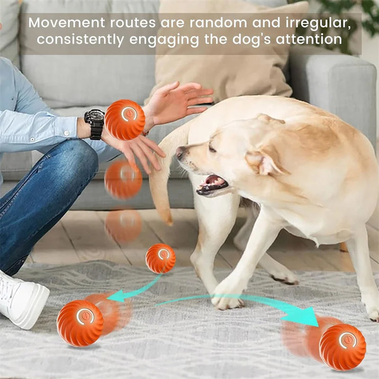 Balle Interactive Électronique pour Chiens et Chats USB