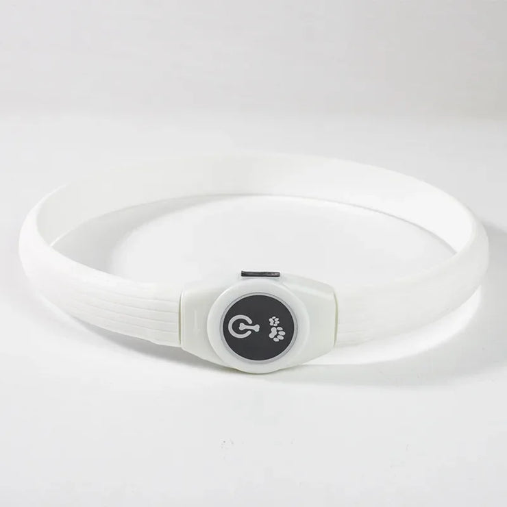 Collier LED Chien Étanche USB Lumineux Sécurité Nuit