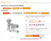 Collier Lumineux Chien LED Rechargeable USB