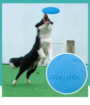 Disque Volant Résistant Chien OUZEY Jouet Interactif