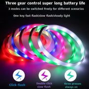 Collier LED Chien Étanche USB Lumineux Sécurité Nuit