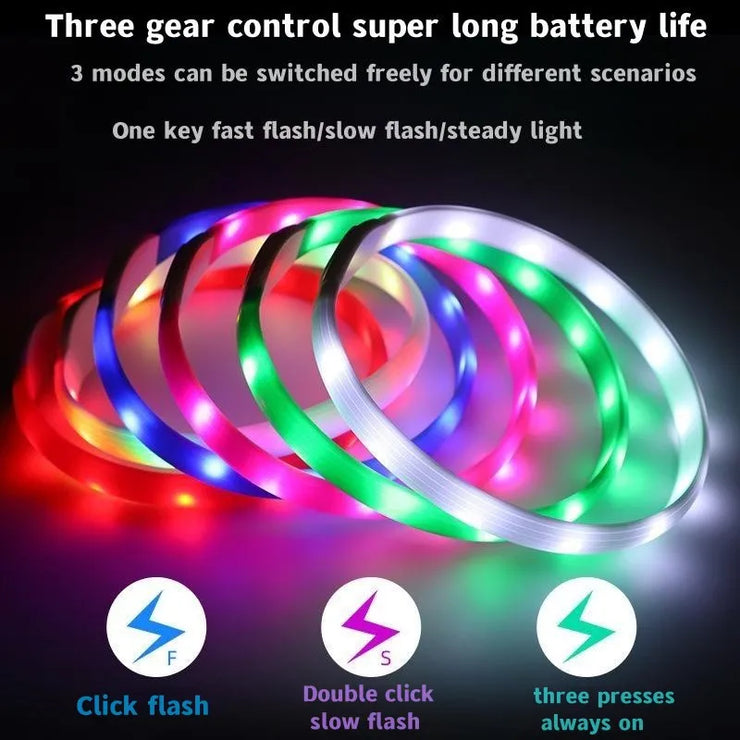 Collier LED Chien Étanche USB Lumineux Sécurité Nuit