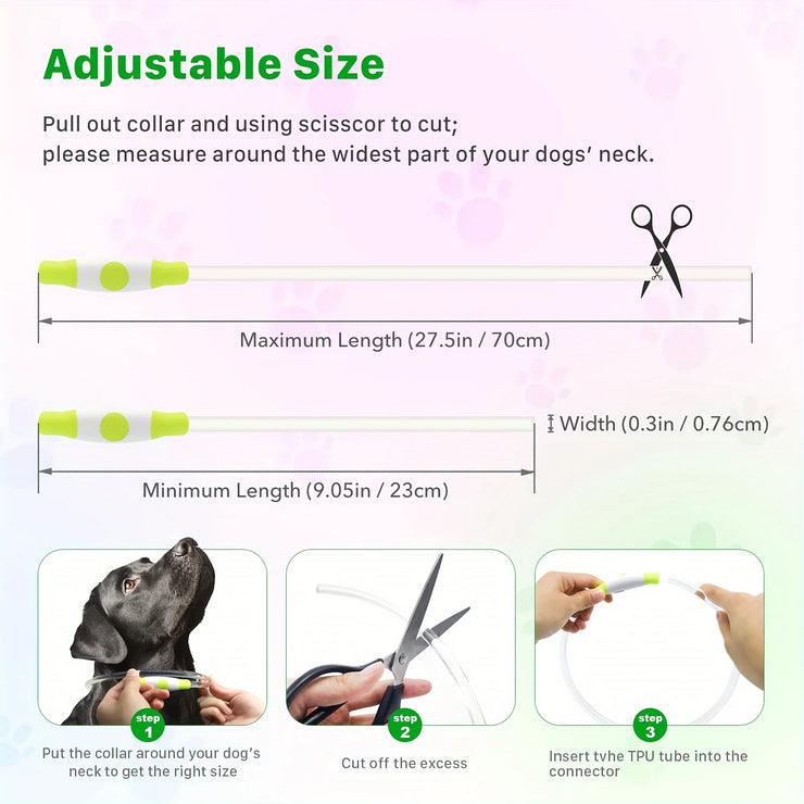Collier LED Rechargeable pour Chien Lumineux & Anti-Perte