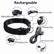 Collier Lumineux LED Chien Réglable Anti-Perte Nuit