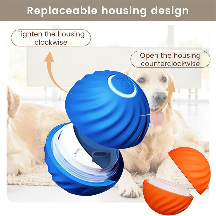 Balle Interactive Électronique pour Chiens et Chats USB